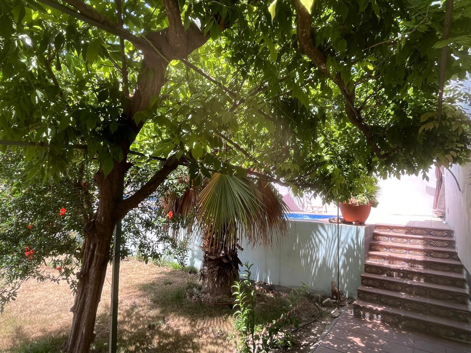 Loft Huétor Santillán المظهر الخارجي الصورة